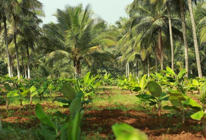 בית מלון כפרי Atulyam Farm