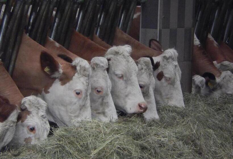 호텔 Biobauernhof Poidlbauer