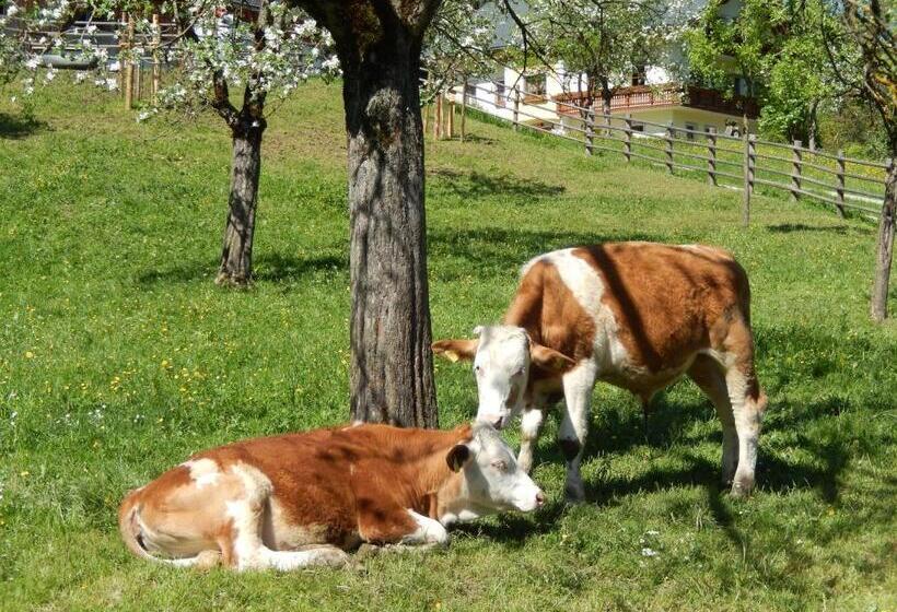 호텔 Biobauernhof Poidlbauer