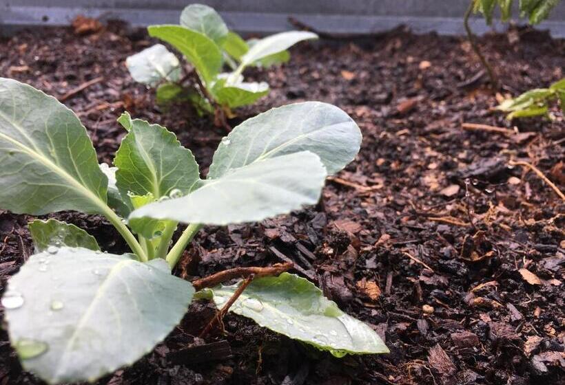 호텔 Bramleigh Farm