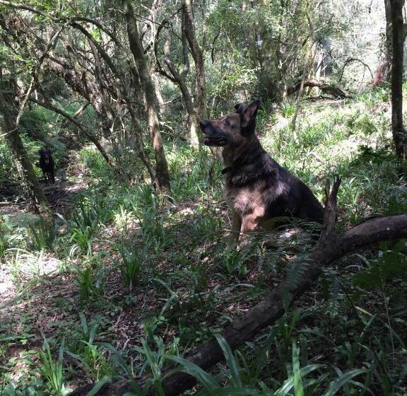 בית מלון כפרי Bramleigh Farm