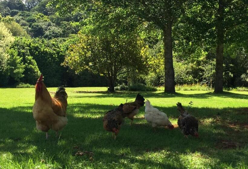 호텔 Bramleigh Farm