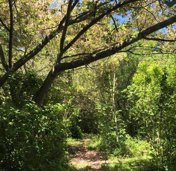 호텔 Bramleigh Farm