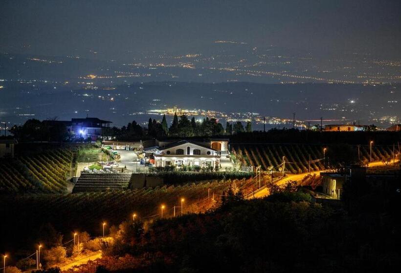 ホテル Cantine Iannella