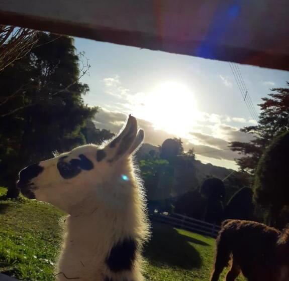 בית מלון כפרי E Parque Das Tuias