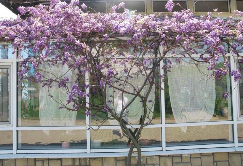 בית מלון כפרי Guest House Uzhgorod