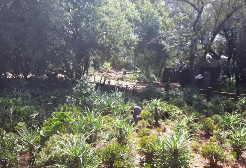 ホテル Houtbosdorp