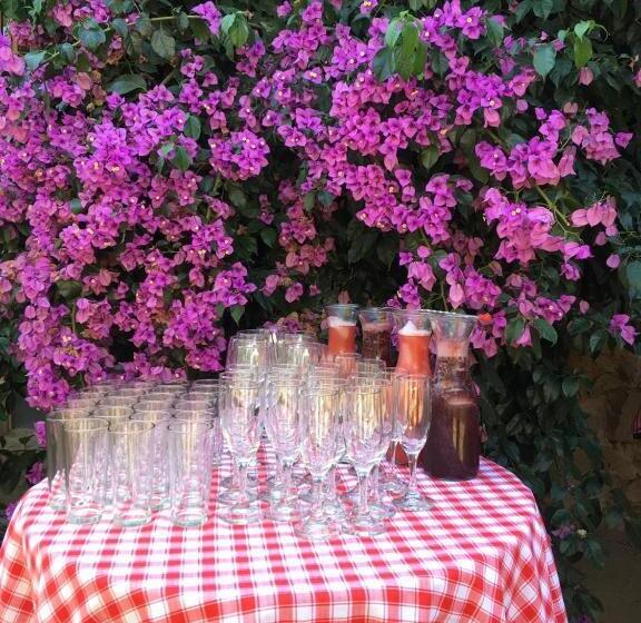 酒店 Parador Vichuquen