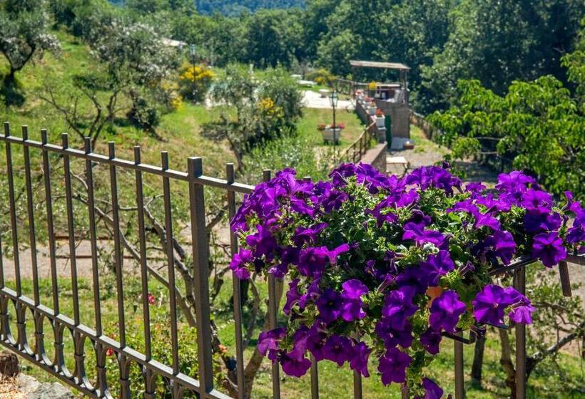 酒店 Podere Figlinelle