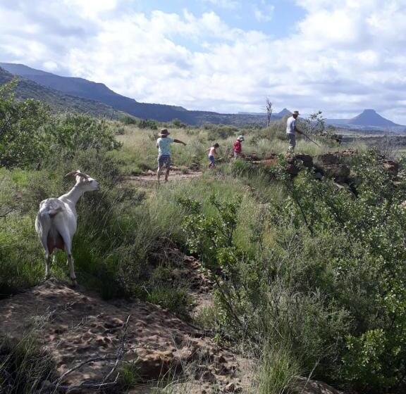 ホテル Saffier River Cottage Farmstay