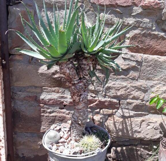 فندق Saffier River Cottage Farmstay