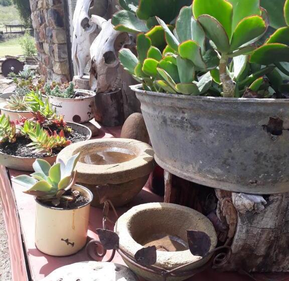 ホテル Saffier River Cottage Farmstay