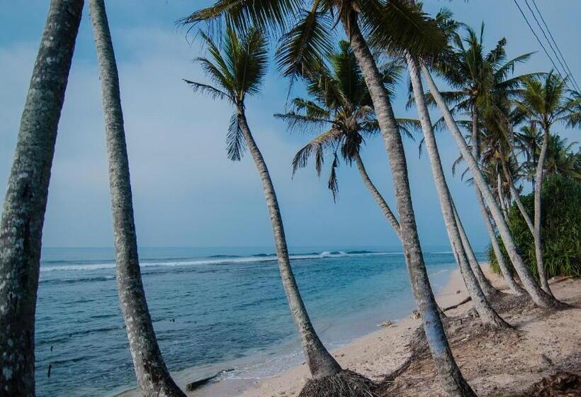 호텔 Savenrose Beach Villa