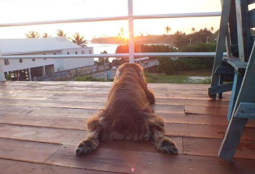 호텔 South Sea Villa