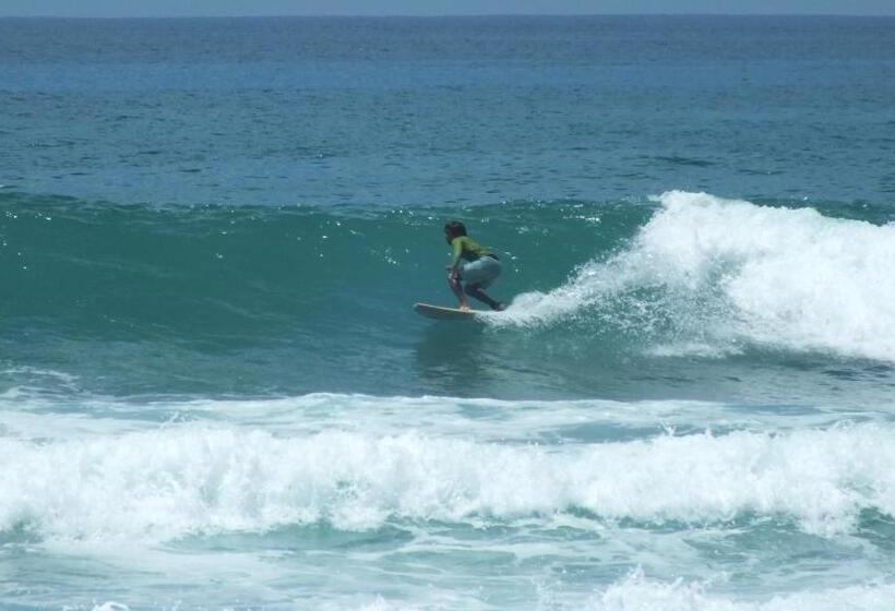 호텔 South Sea Villa