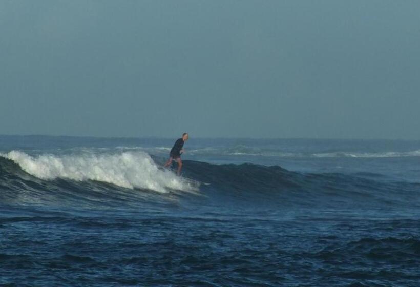 호텔 South Sea Villa