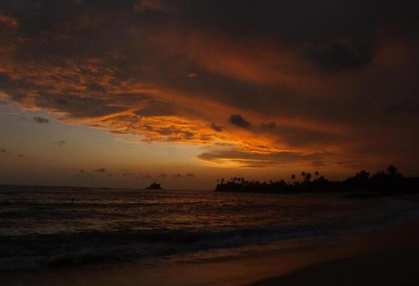 호텔 South Sea Villa