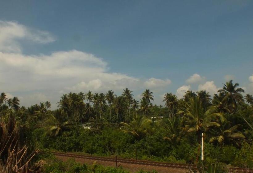 호텔 South Sea Villa