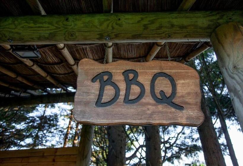 酒店 The Manor At Bickley