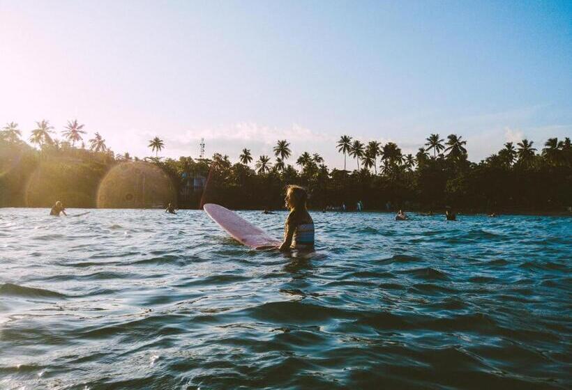 Отель The Salty Pelican Yoga & Surf Retreat