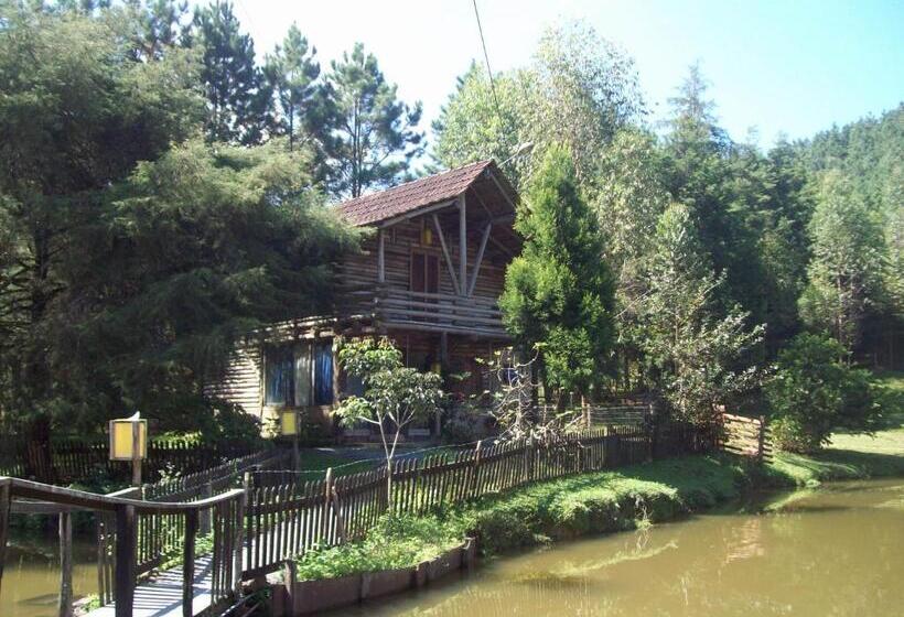 호텔 Vale Das Hortênsias