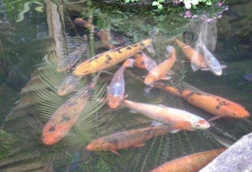 호텔 Vale Das Hortênsias