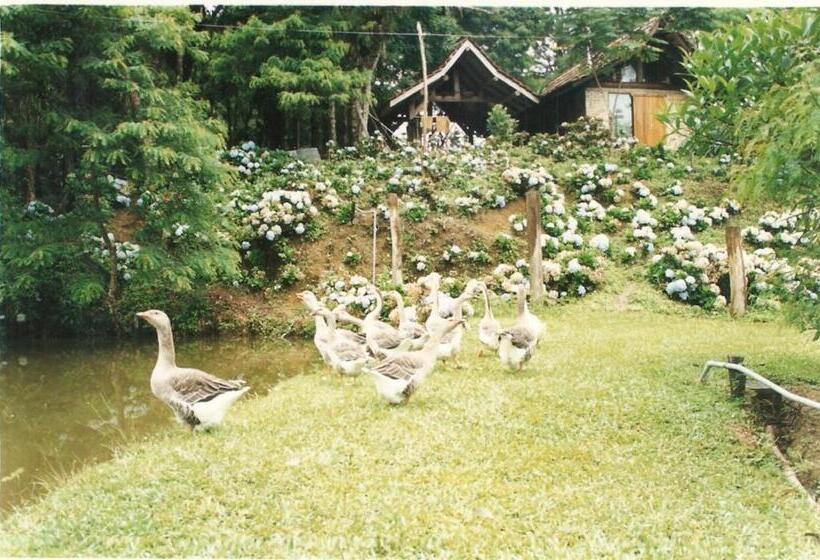 호텔 Vale Das Hortênsias