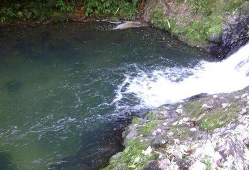 호텔 Vale Das Hortênsias