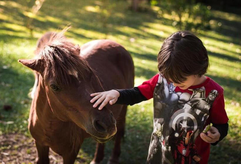 호텔 Vale Das Hortênsias