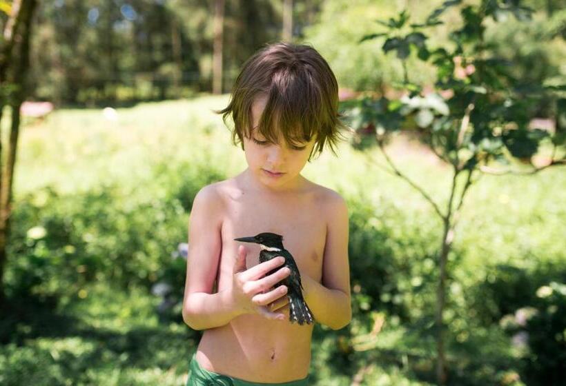 호텔 Vale Das Hortênsias