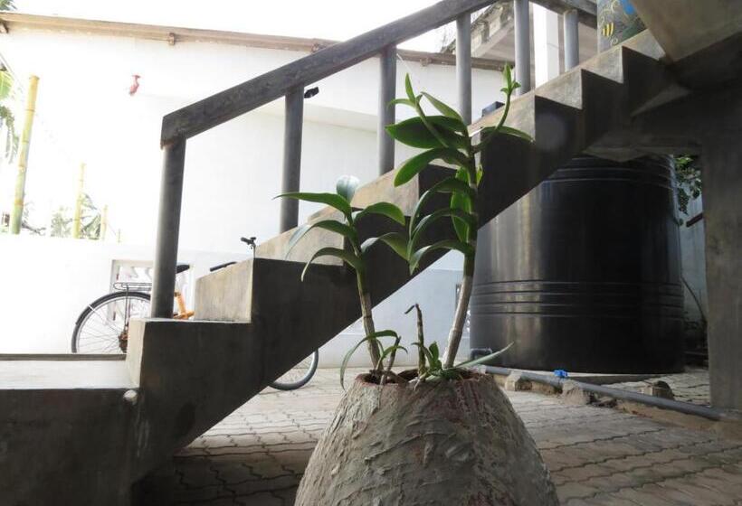 Mountain Wave Hotel And Surfshop