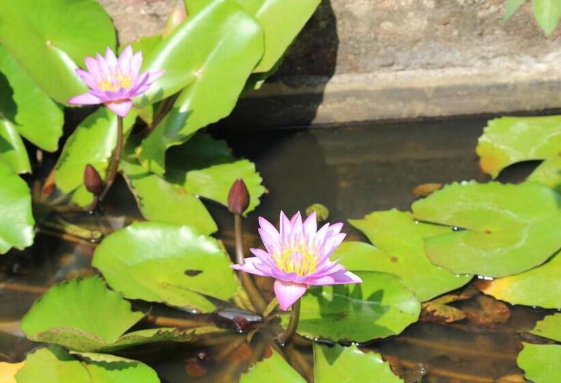 بنسيون Barve Homes