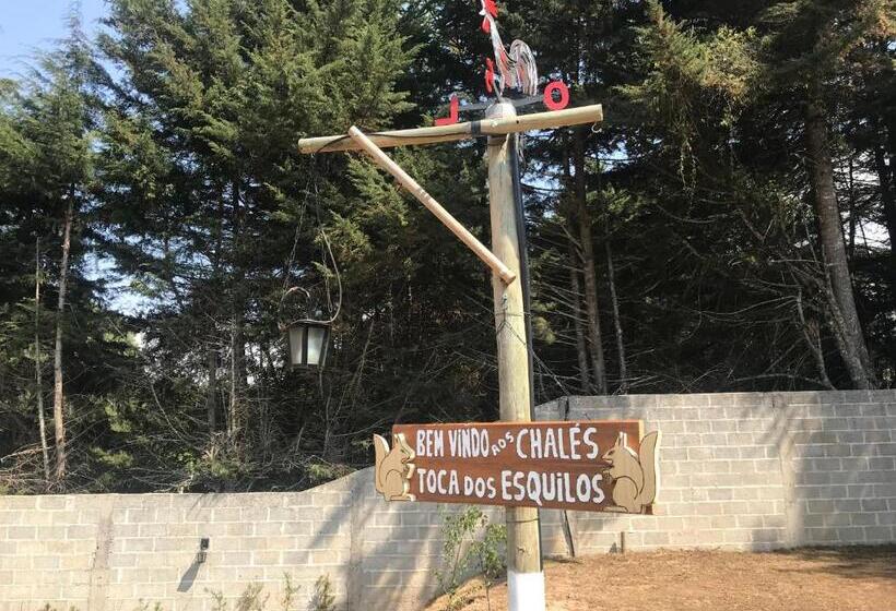 Пансион Chalés Toca Dos Esquilos