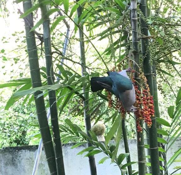 펜션 Chandima Beach Waver