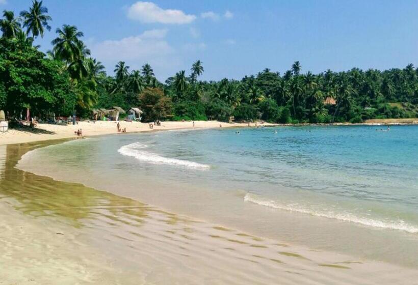 펜션 Cinnamon House