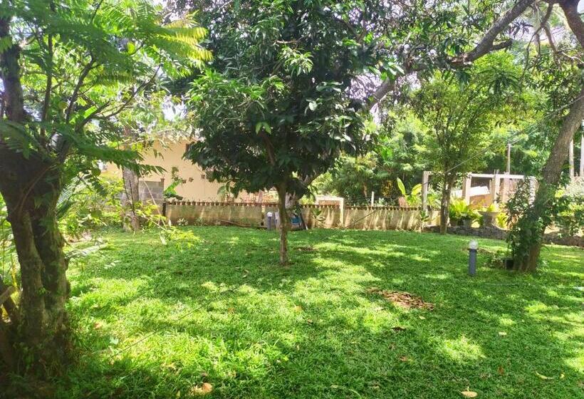 펜션 Cinnamon House