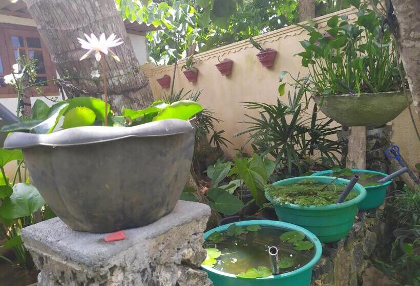 펜션 Cinnamon House