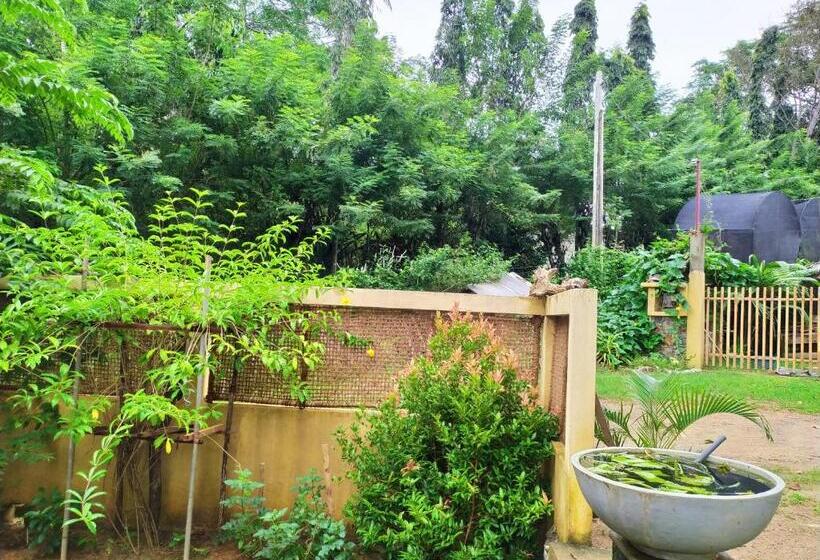 펜션 Cinnamon House