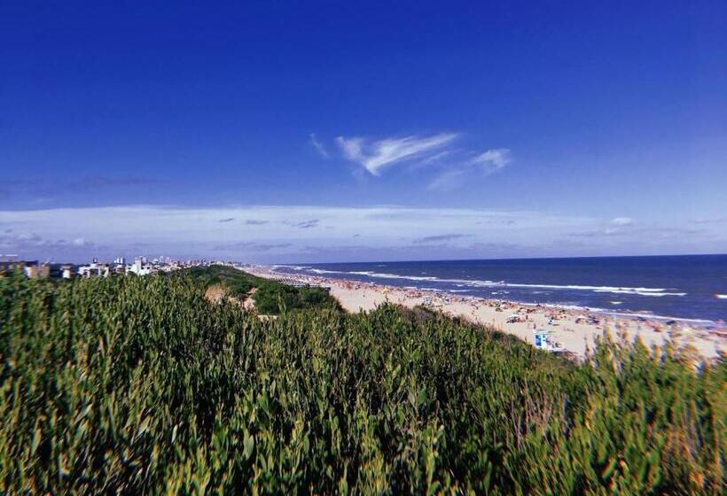 پانسیون Complejo Noi Alaia