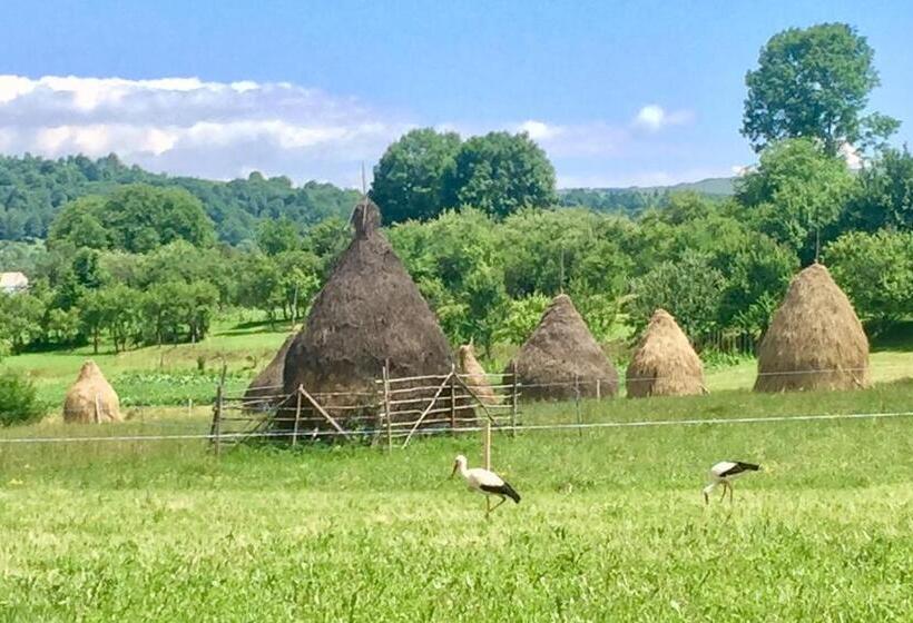 بنسيون Complex Tradițional Casa Din Vale