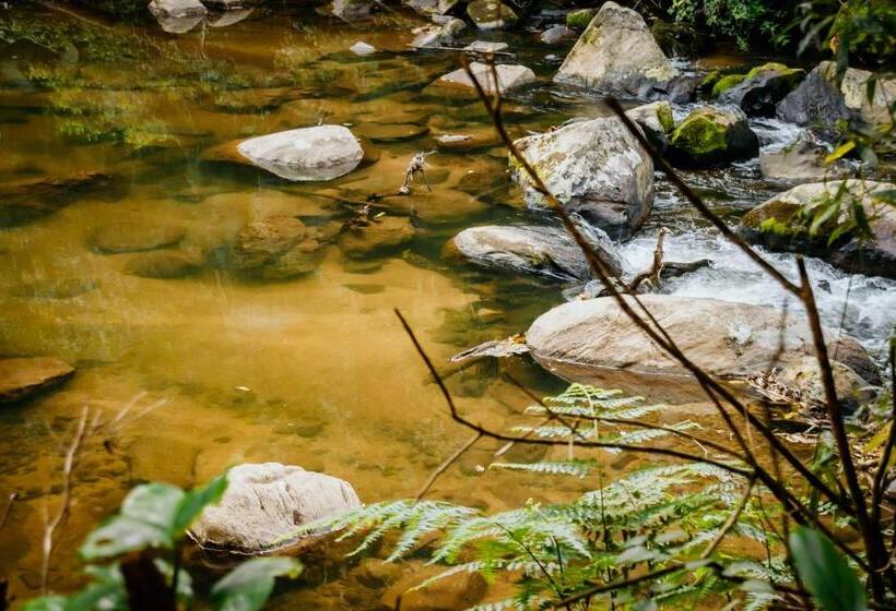 Пансион Ecolodge Paraty