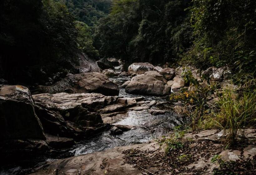 Пансион Ecolodge Paraty