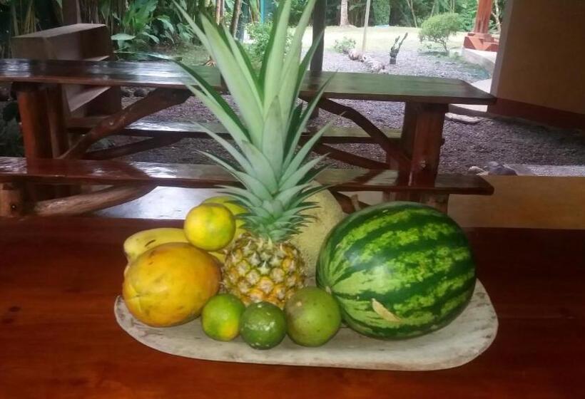 پانسیون El Chontal