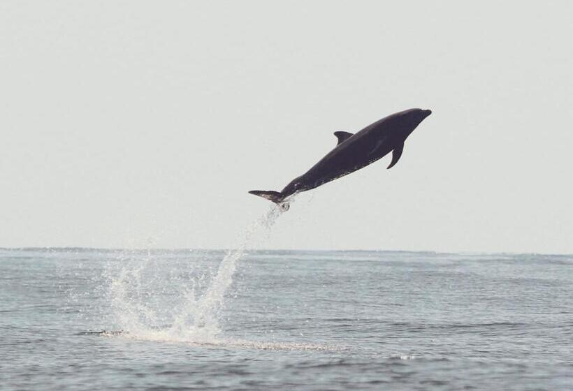 پانسیون El Chontal