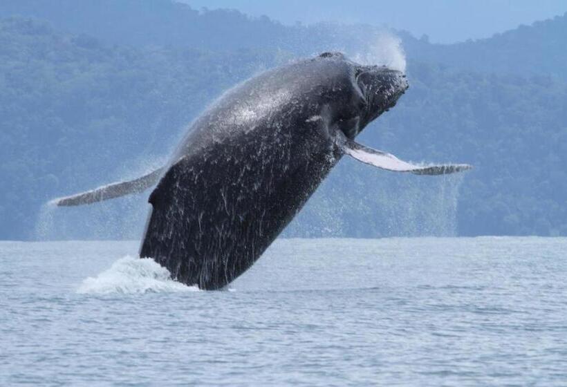 پانسیون El Chontal