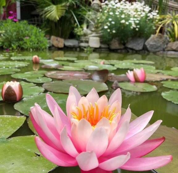 پانسیون El Refugio De Budda