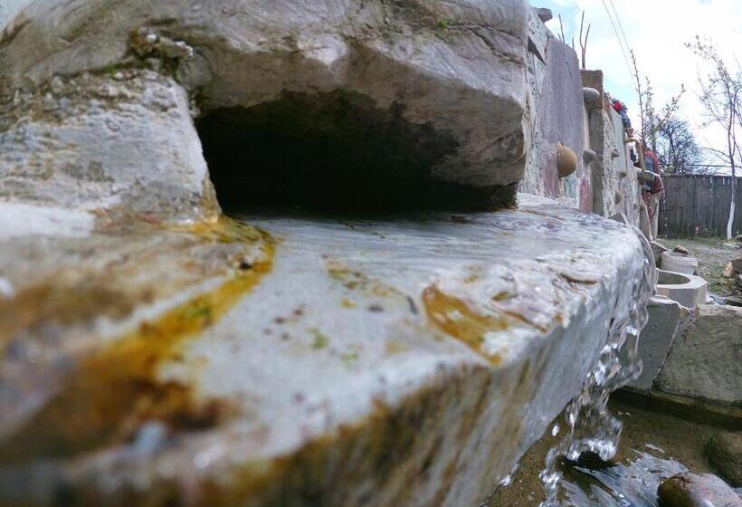 پانسیون Ethno House Inn Tianeti