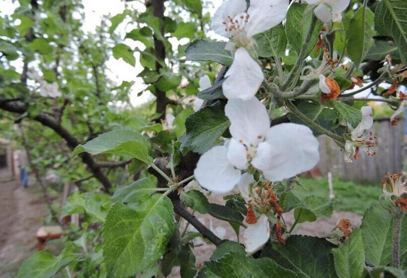 پانسیون Ethno House Inn Tianeti