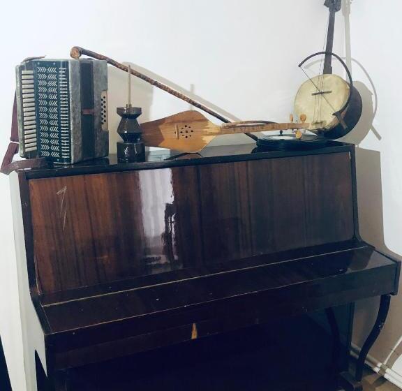 پانسیون Ethno House Inn Tianeti