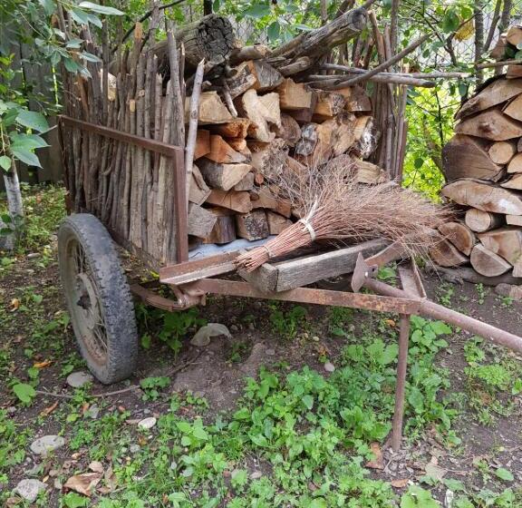 پانسیون Ethno House Inn Tianeti